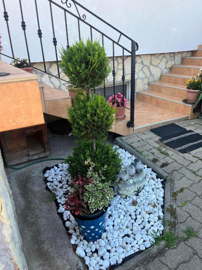 Rege Apartman Alsoors Exterior foto